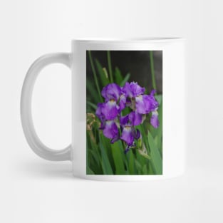 Flower with morning dew Mug